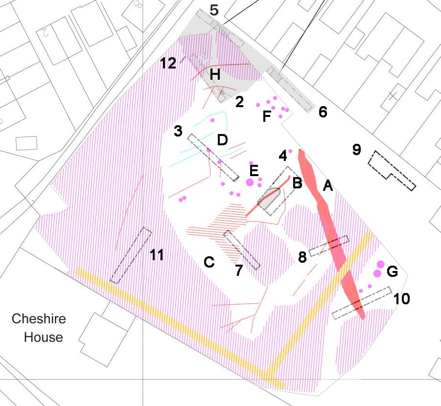 Buckleys field Evaluation Trenches and Geophysics Data