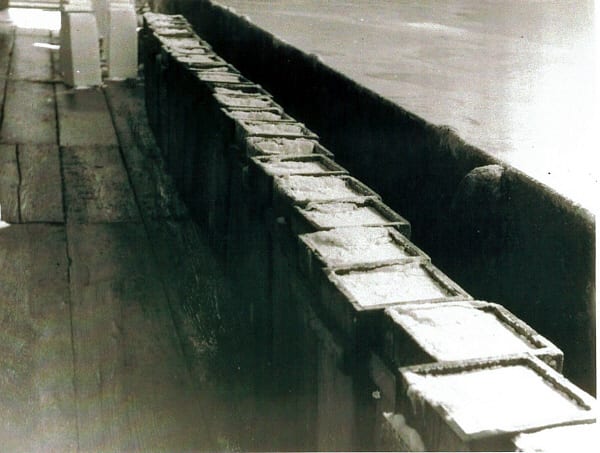 12. The salt begins the drying process, a row of tubs are filled on one side of the pan then the other. Seddon's.jpg