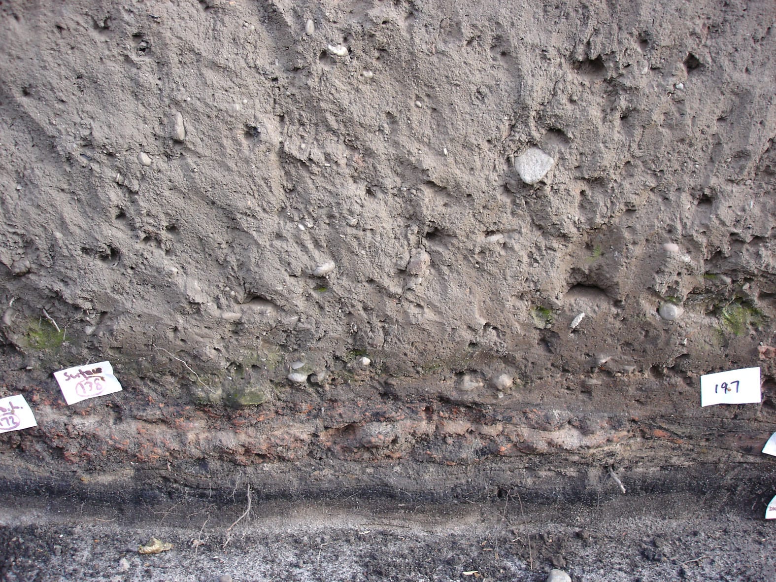 Phase 4 Trench 1 detail