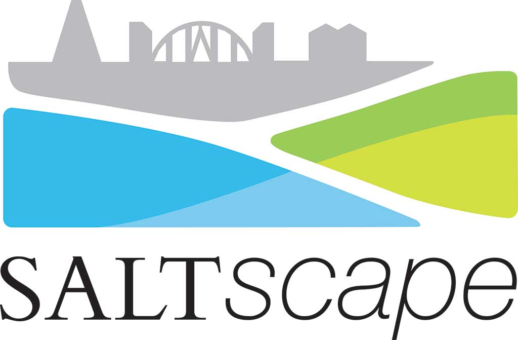 saltscape logo